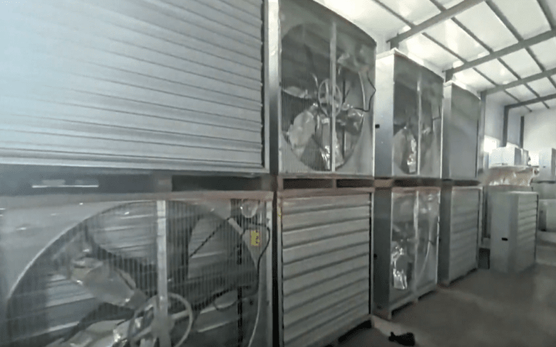 1380 Galvanized Sheet Livestock Negative Pressure Fan